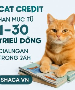 Cat Credit
