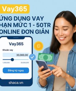 Vay365