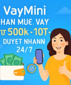 VayMini