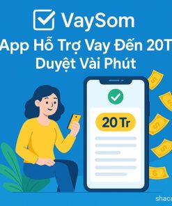 VaySom