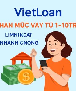 VietLoan