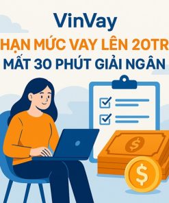 Vinvay