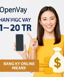 OpenVay